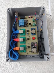 IMG_20240530_133203
