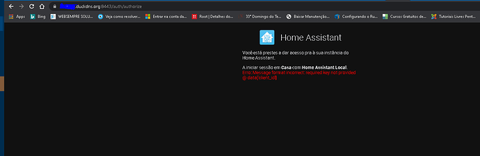 erro homeassistant