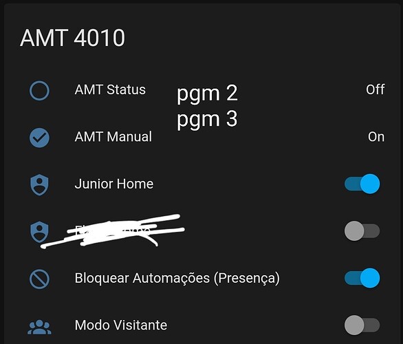 ha_amt