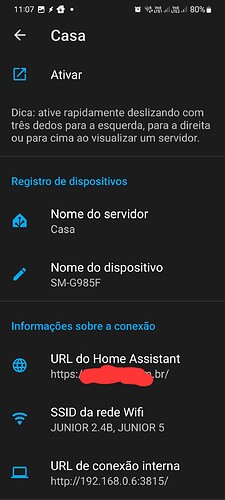 Screenshot_20240717_110755_Home Assistant (1)